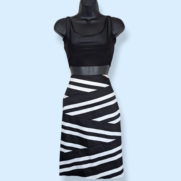 WHBM Striped Pencil Skirt - Picture 2 of 6